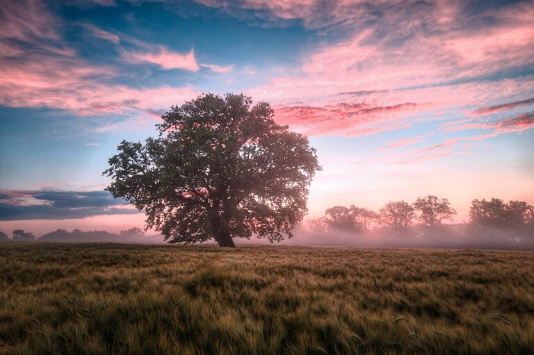 Whispers of the Great Mother: A Journey into the Divine Feminine